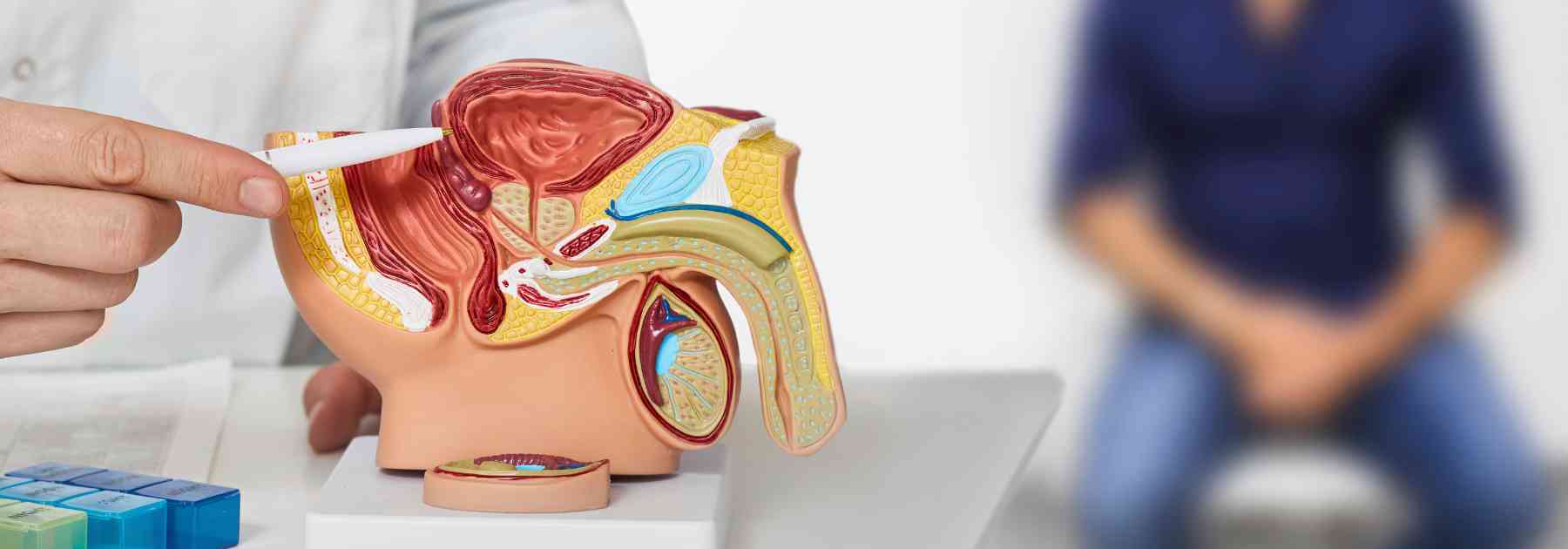 Does viagra make you last longer? Understand ED